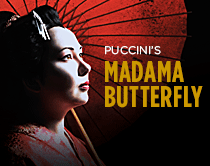 MadamaButterfly_210x166.png Madama Butterfly